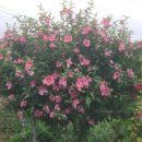 지석리 경로당 이미지