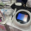 에스텔라 이미지