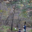 현서아트 이미지