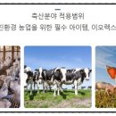 화산골 힐링 농장 네이버블로그