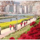 동래세무서 이미지