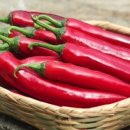 금성농장 이미지