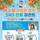 카SNS