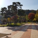 낭월7호어린이공원 이미지