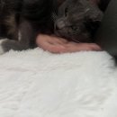 어떤하루2 이미지