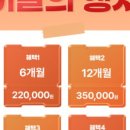 몸짱휘트니스 이미지