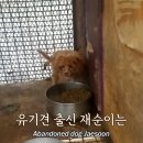 재순농장 이미지