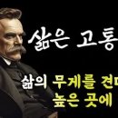 아모르(Amor)