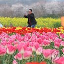 낙동강변 축구장 2 이미지