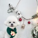 데이지 독 이미지