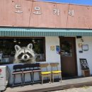 도모카레 이미지