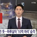 폭설인줄 알았더니..&#39;하루살이 10억마리&#39; 경악 이미지