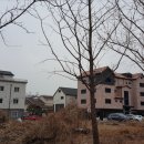 잔다리공인중개사사무소 이미지