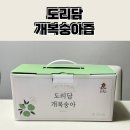 도리담