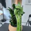 윤검도관 이미지