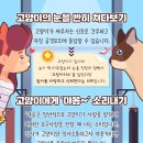 모여라동물병원 이미지