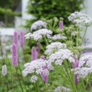 브니엘하우스 이미지