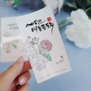 디자인에덴 이미지