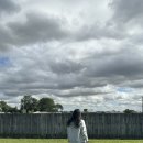 비자농장 | [호주워홀/브리즈번]세컨비자를 위한 딸기농장 첫근무 후기(D+58)