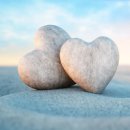 병철축산 이미지