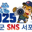 무릉도원면-43 네이버블로그