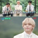 김밥과 스파게티 이미지