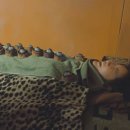 DNA PC CAFE 이미지