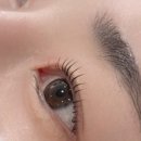 남천1-203 이미지