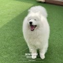 바우라움 메인캠퍼스 이미지