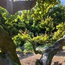 태림농장 이미지