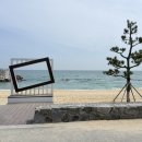 강릉동해막국수 | 강릉 바다뷰 막국수 맛집 고씨네동해막국수 솔직후기(애견동반)
