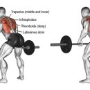오늘보다내일짐 이미지