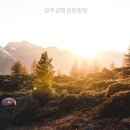 경주생태원 | 경주생태원캠핑장 친구들과 가기 좋은 캠핑 장소는 여기!