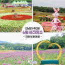 코끼리튀김