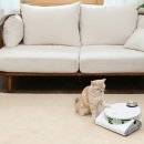 주식회사 케이케어 이미지