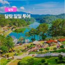 나트랑 여행의 화룡점정! 굿데이 컴퍼니와 함께 떠난 달랏 일일 투어 밀착 후기
