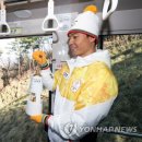 무주연합치과 이미지