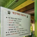 덕수네애견 이미지