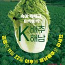 성진P&D