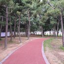 배알도수변공원(1-캠핑장) 이미지