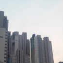 뉴태양공인중개사사무소 이미지