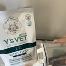 골드퍼피 애견유치원 이미지