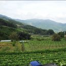 바람과 여울