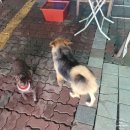 (주)신풍전자 | 일상 기록) 2025.08.04~08.17 그리고 요즘 생각