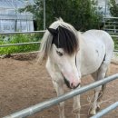 영온농장 이미지