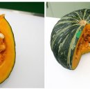 일흥농장 이미지