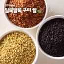 GS25 오치대웅점 | [공지] 11월 4주차 성수&amp;서울숲 팝업스토어 가볼만한 곳 정리 (팝업지도, 후기포함)