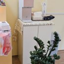 메리몰펫샵 이미지