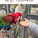 서해해물손칼국수 이미지