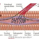 에스팀피트니스 이미지